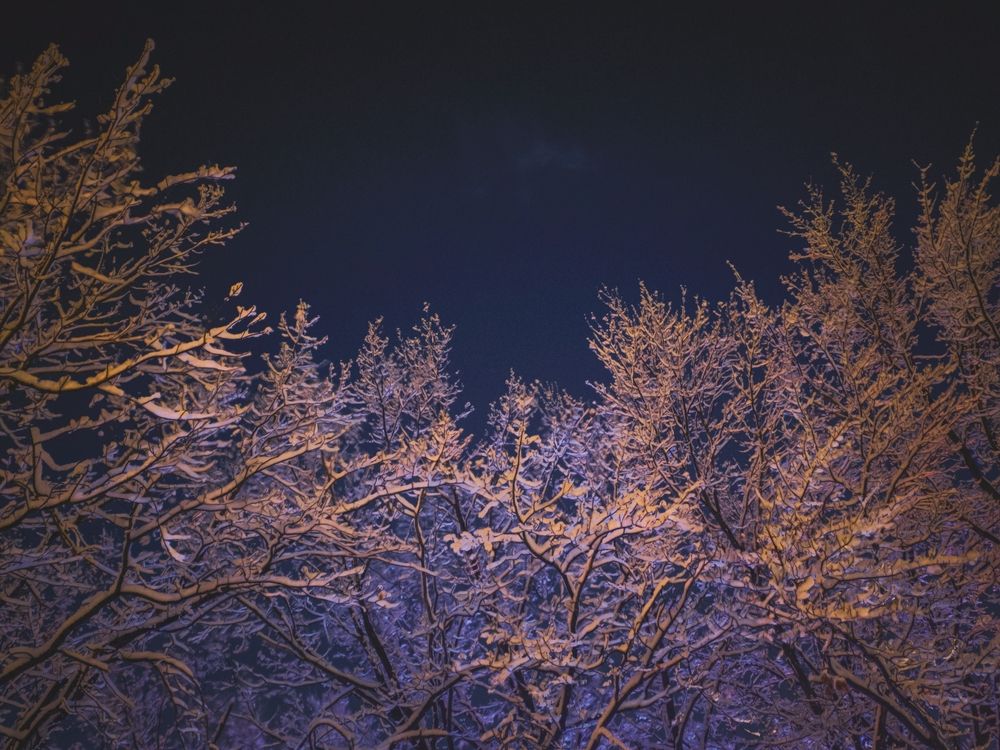 Photograph by Кирилл Сидоров