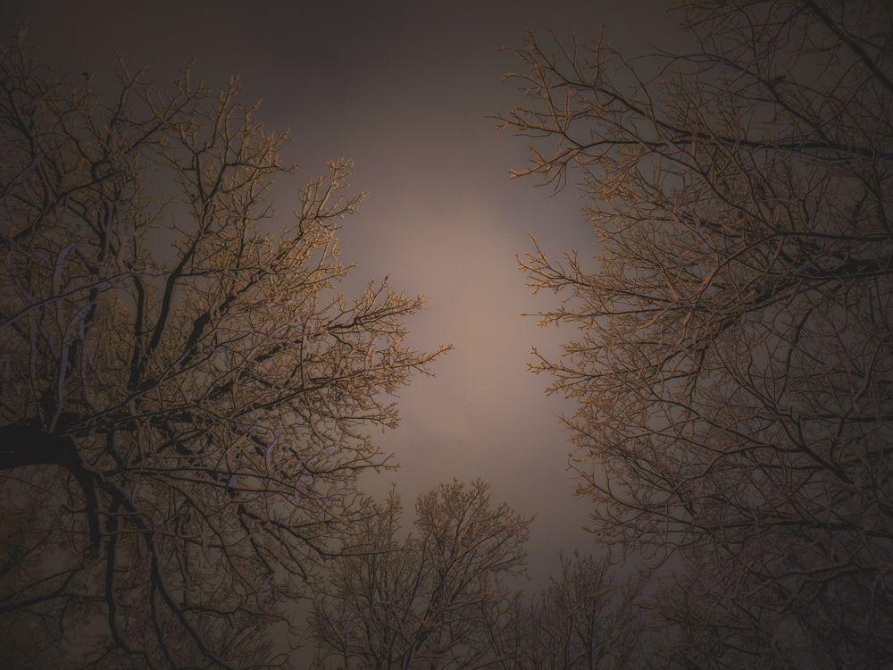 Photograph by Кирилл Сидоров