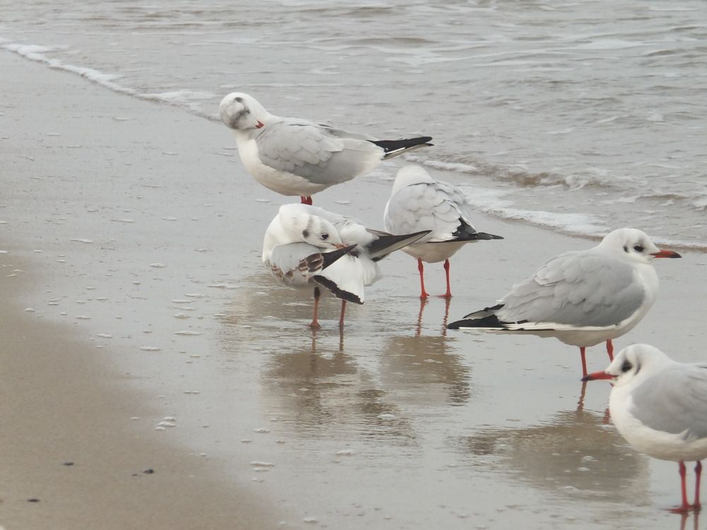 Фотография автора Татьяна Мишкина