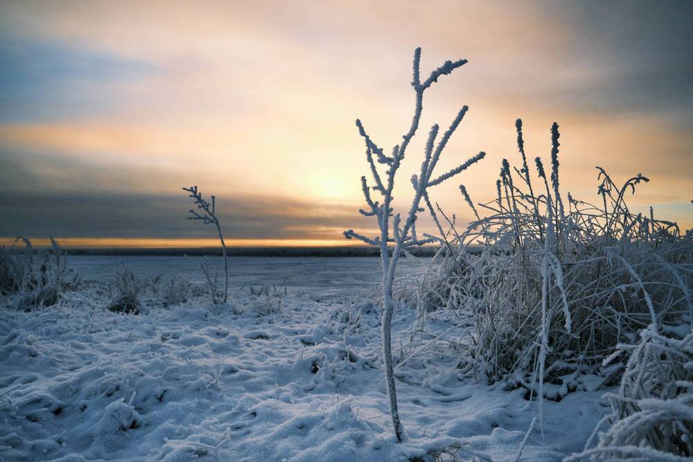 Photograph by Вячеслав Митрофанов