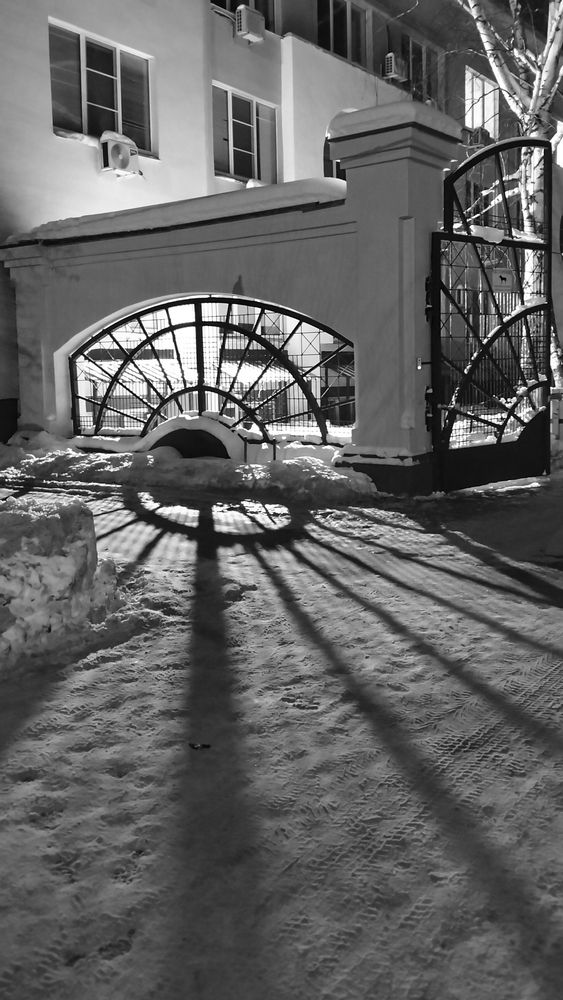 Photograph by Юлия Урюпина