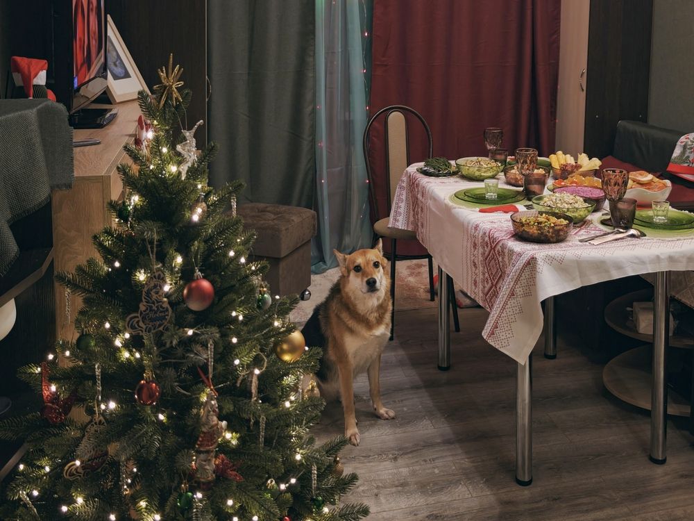 Фотография автора Наташа Данилова