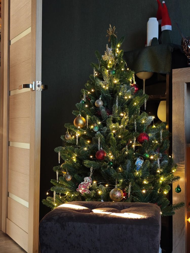 Фотография автора Наташа Данилова