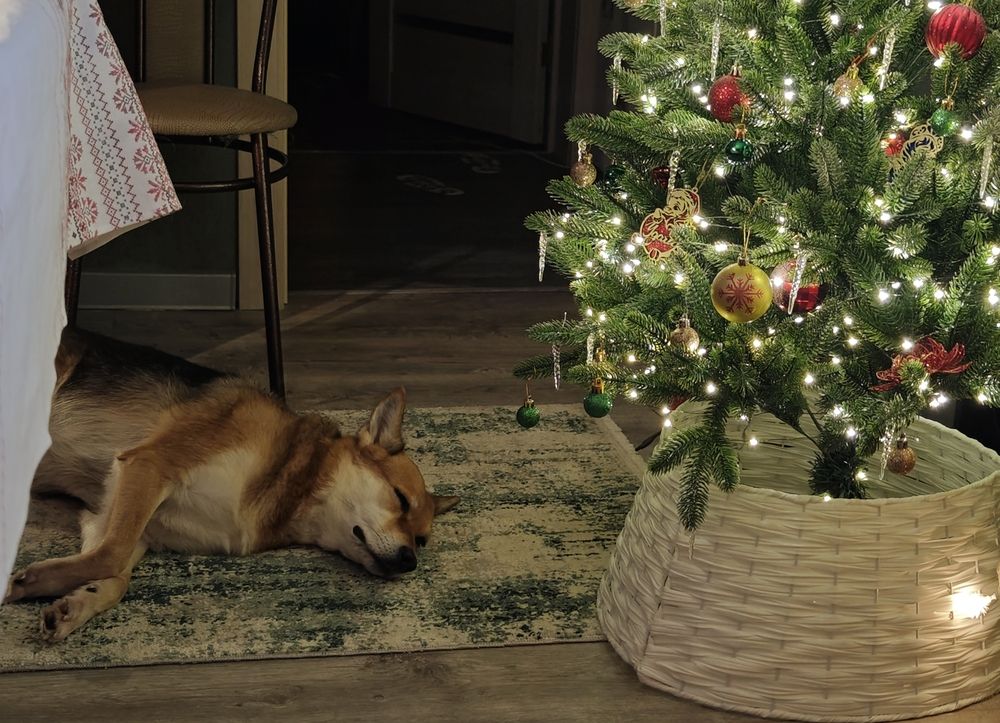 Фотография автора Наташа Данилова