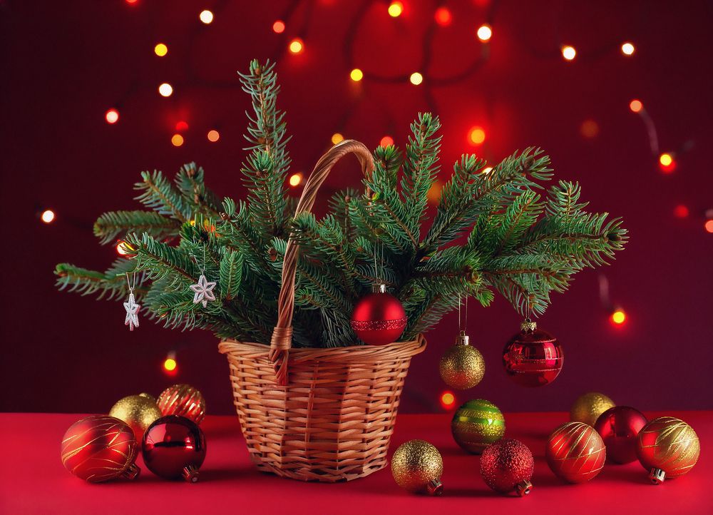 Photograph by Юрий Левко