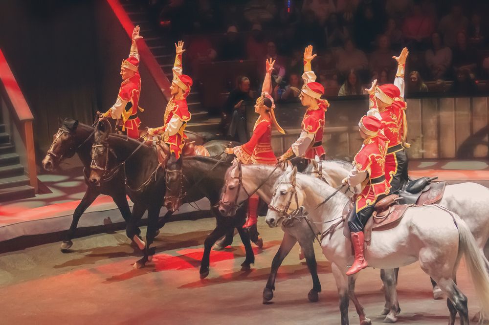 Photograph by Ольга Новикова