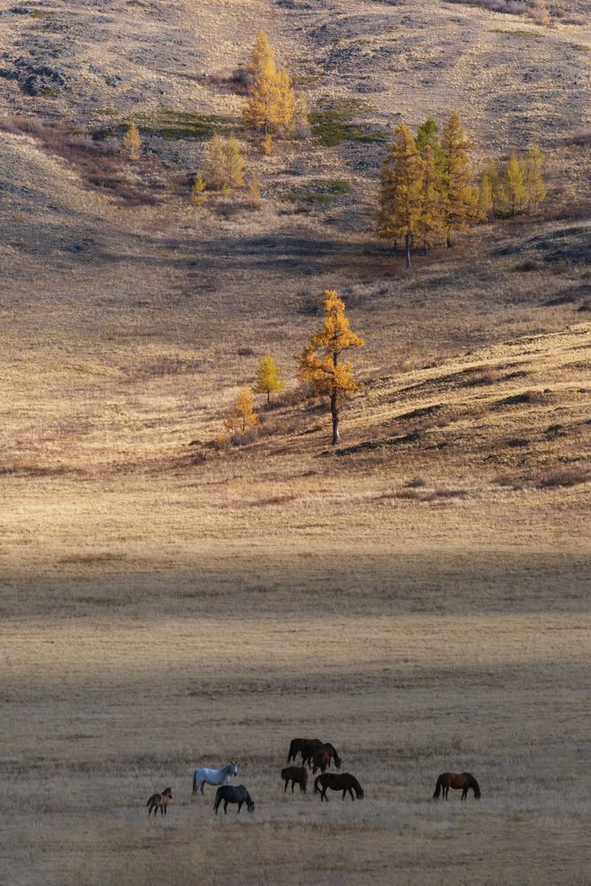 Photograph by Гарус Виктория