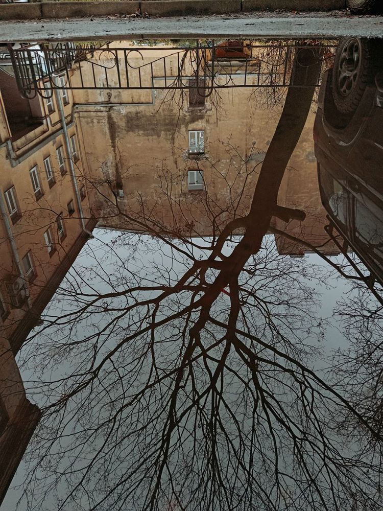 Photograph by Сафронова Любовь