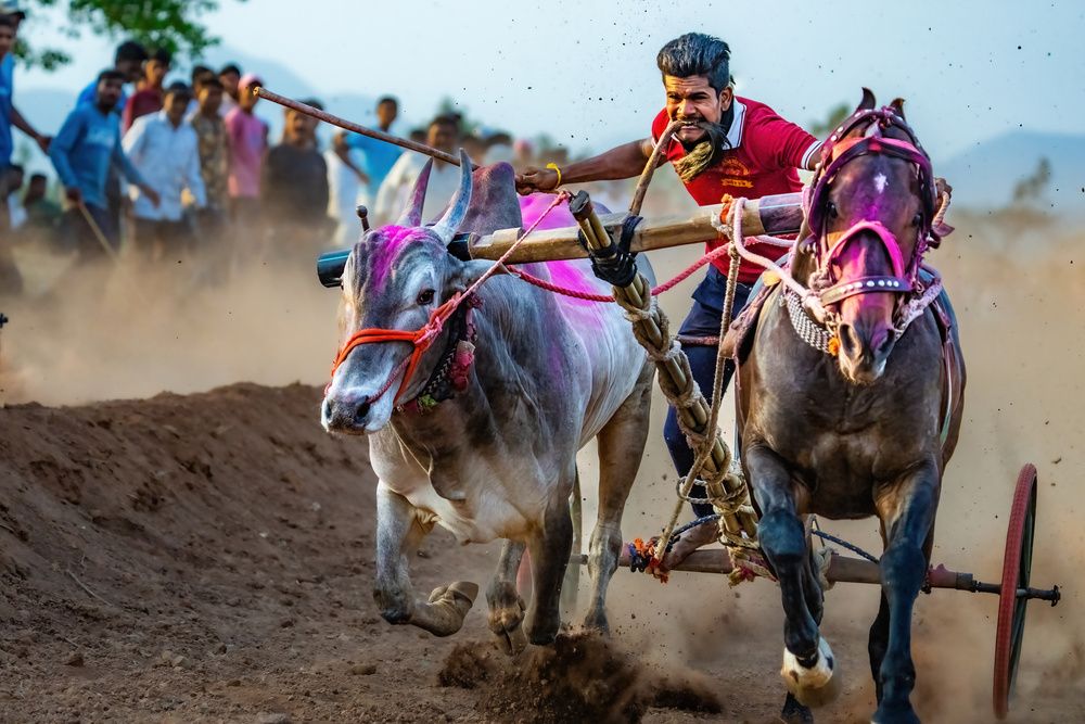 Photograph by Nitin Baste