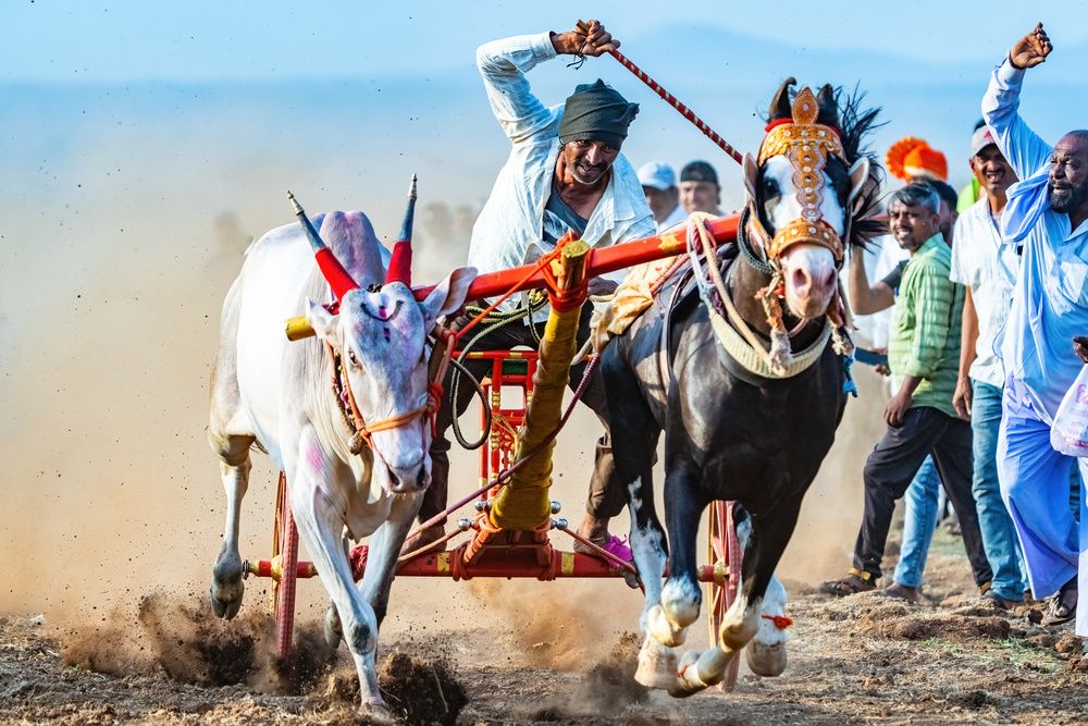 Photograph by Nitin Baste