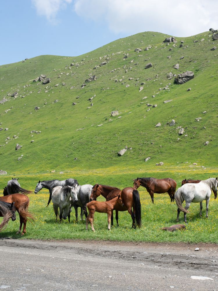 Photograph by Оксана Смирнова