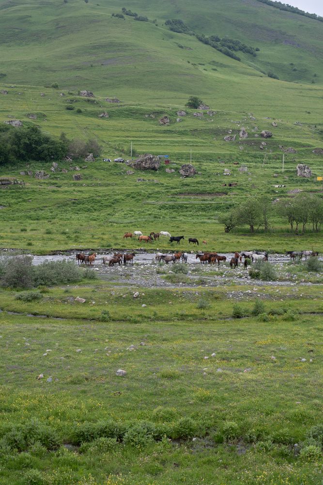 Photograph by Оксана Смирнова