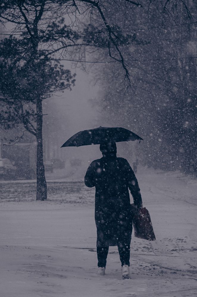 Photograph by Сафронова Любовь