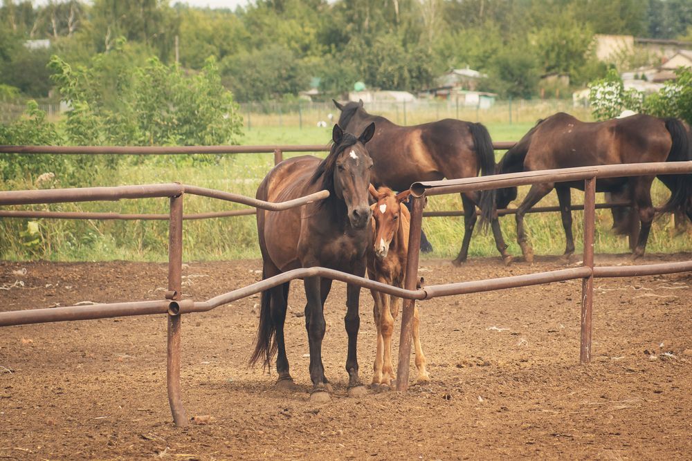 Photograph by Ольга Новикова