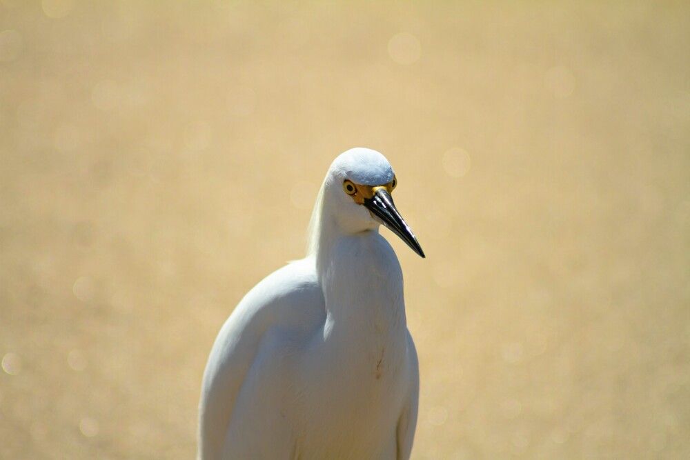 Photograph by Ricardo Sanchez Ruiz
