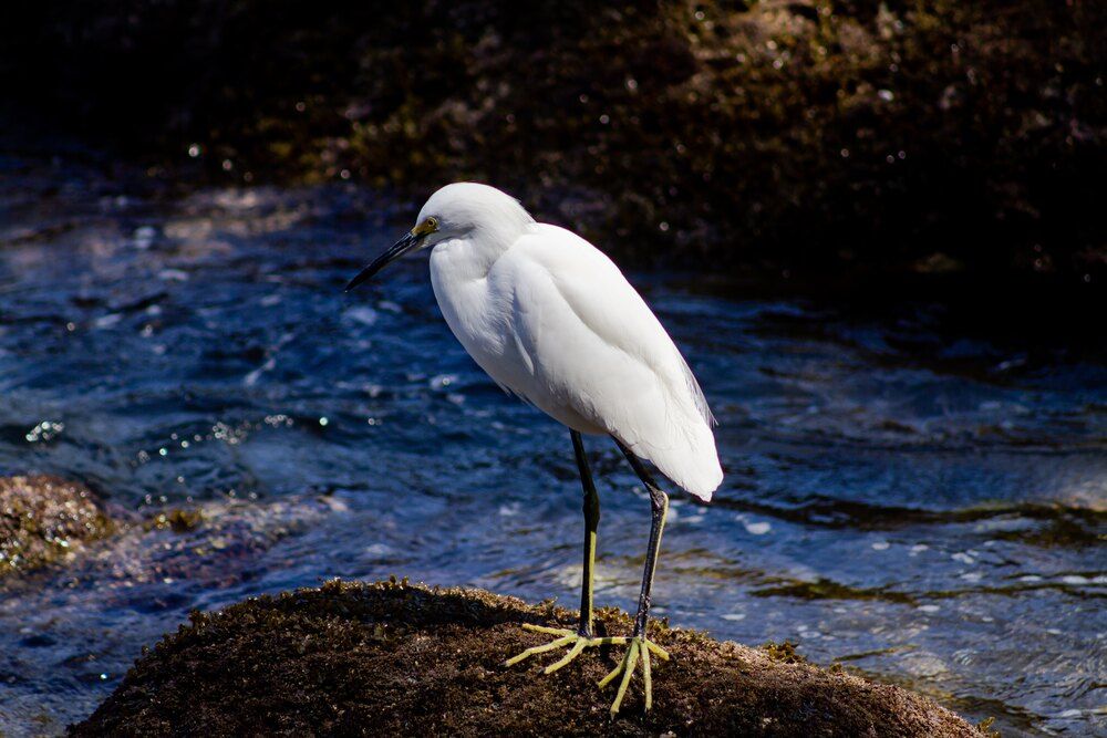 Photograph by Ricardo Sanchez Ruiz