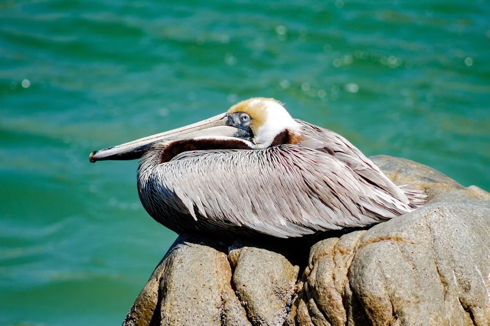 Photograph by Ricardo Sanchez Ruiz