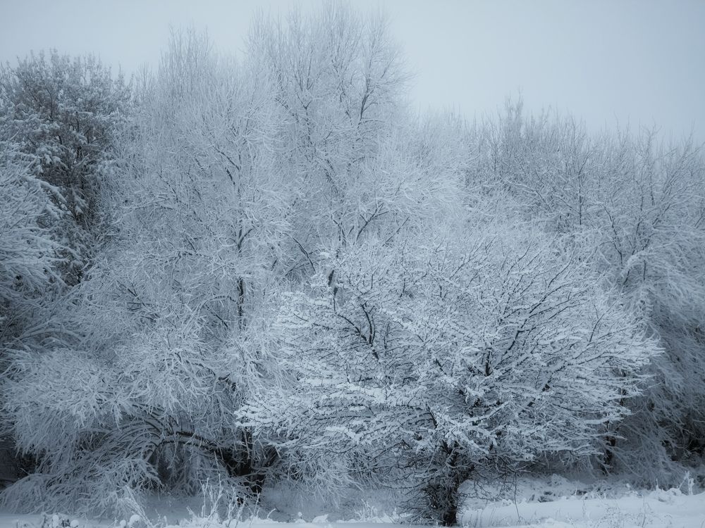 Photograph by Игорь Кабанов