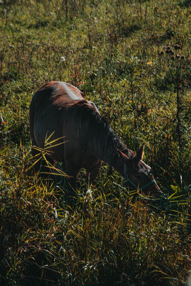 Photograph by Азамат Хатыпов