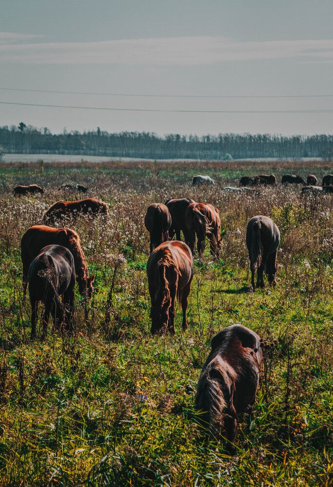 Photograph by Азамат Хатыпов