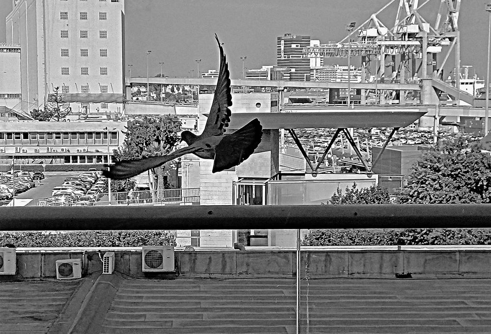 Photograph by Сергей Рапопорт