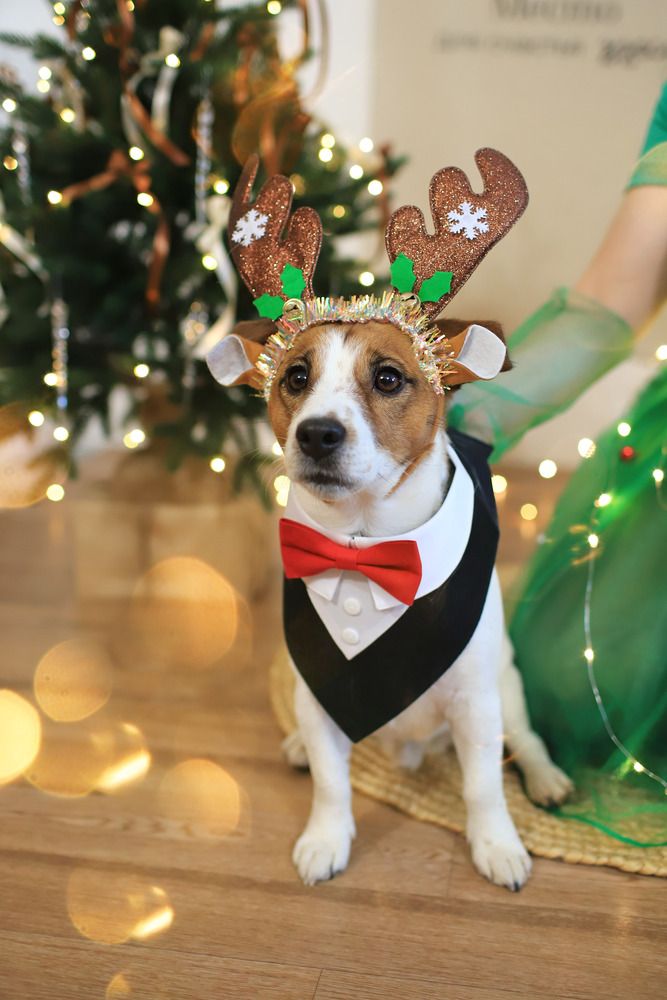 Photograph by Юлия Седова