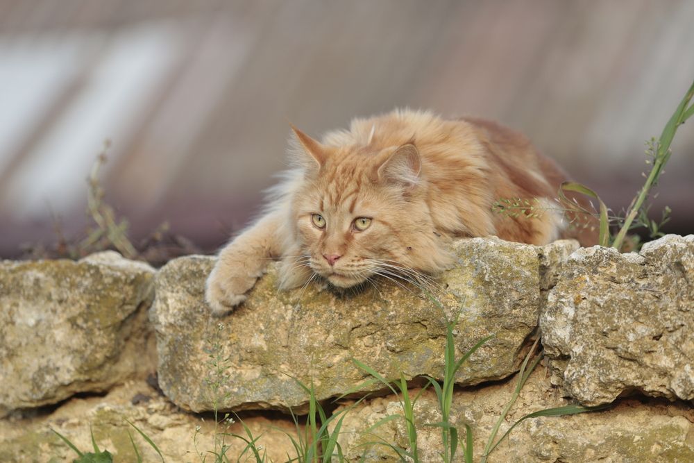 Photograph by Евгения Осипова