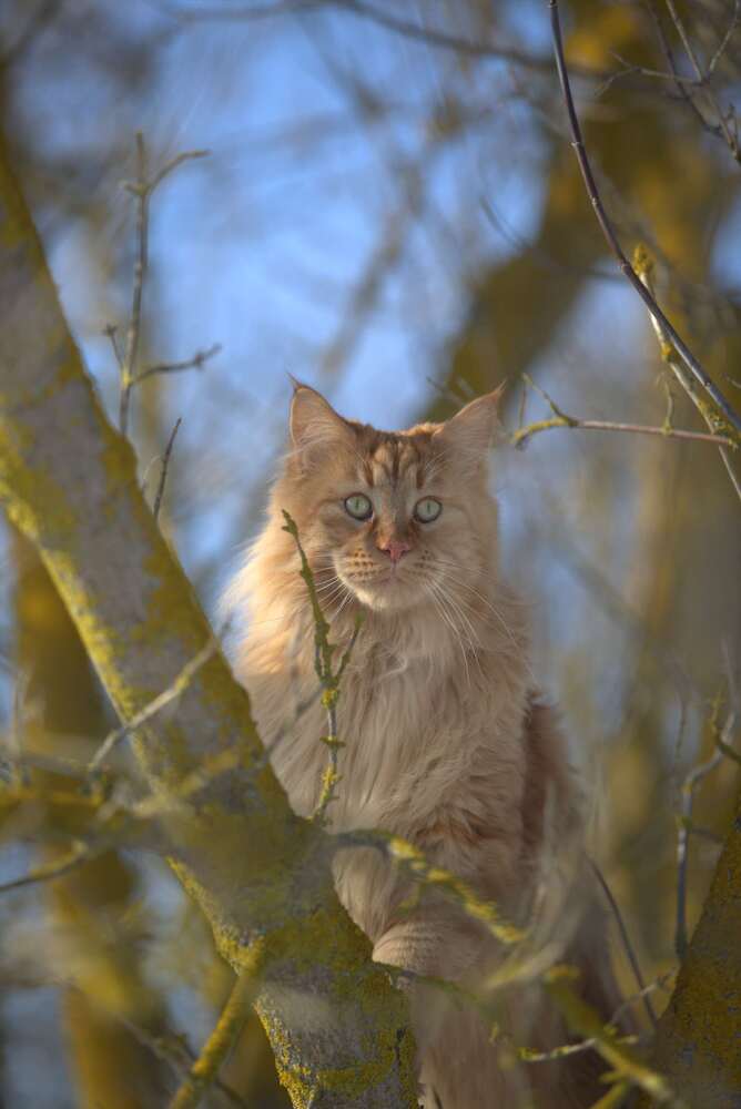 Photograph by Евгения Осипова