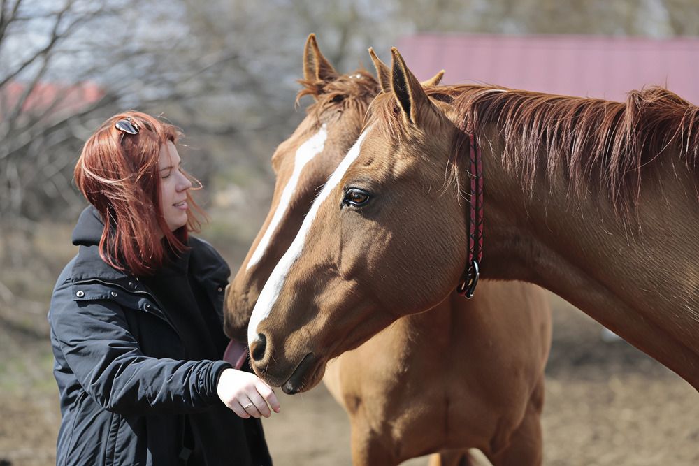 Photograph by Евгения Осипова