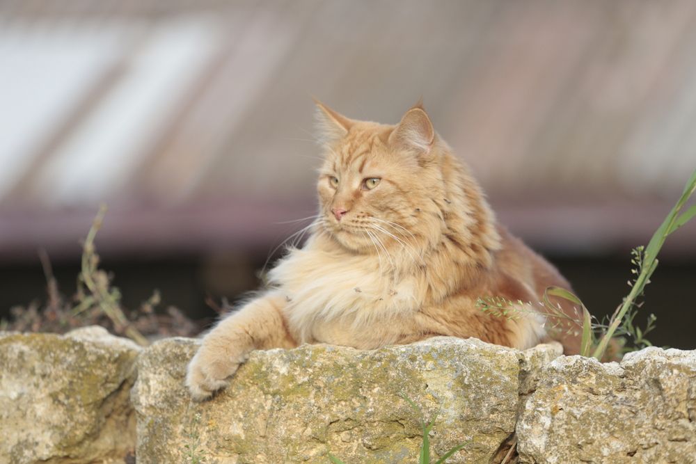 Photograph by Евгения Осипова