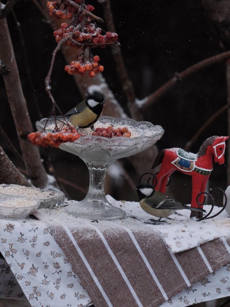 Photograph by Яна Истоцкая