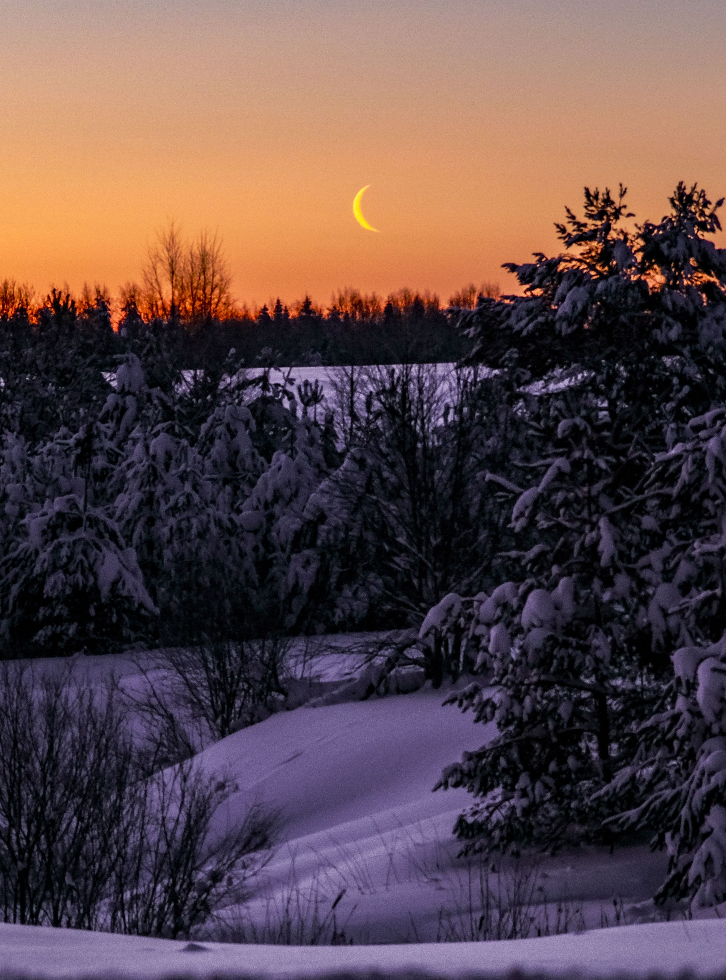 Photograph by Анатолий Вахрушев