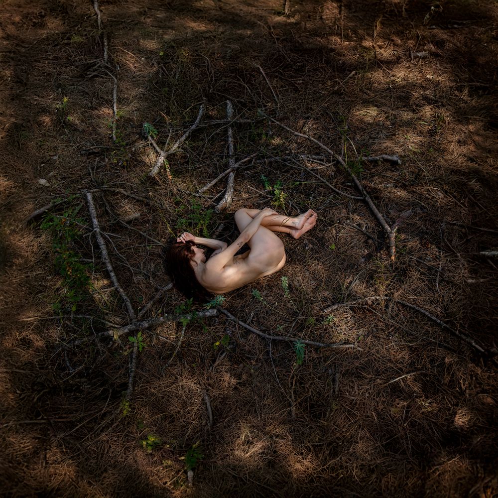 Фотография автора Dmitri Gorbunov