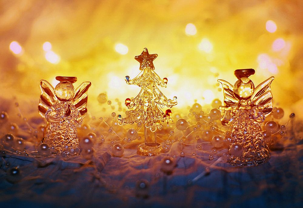 Фотография автора Е лена Е