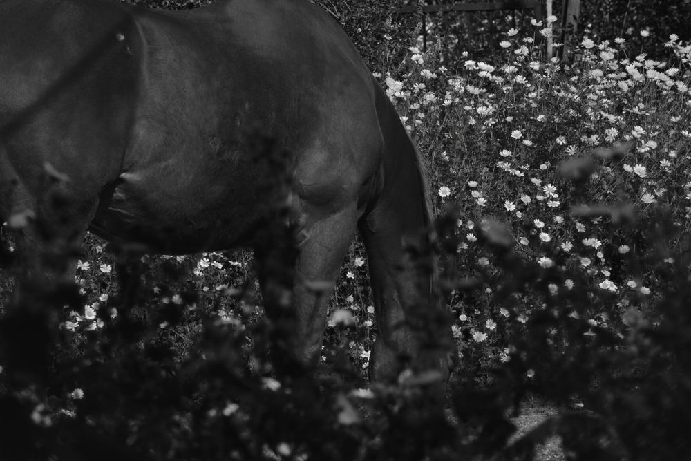 Photograph by Efi Laskari