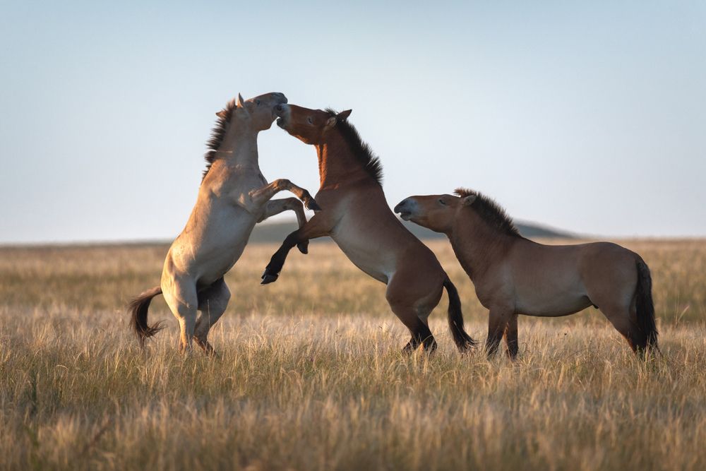 Photograph by Арсений Кашкаров
