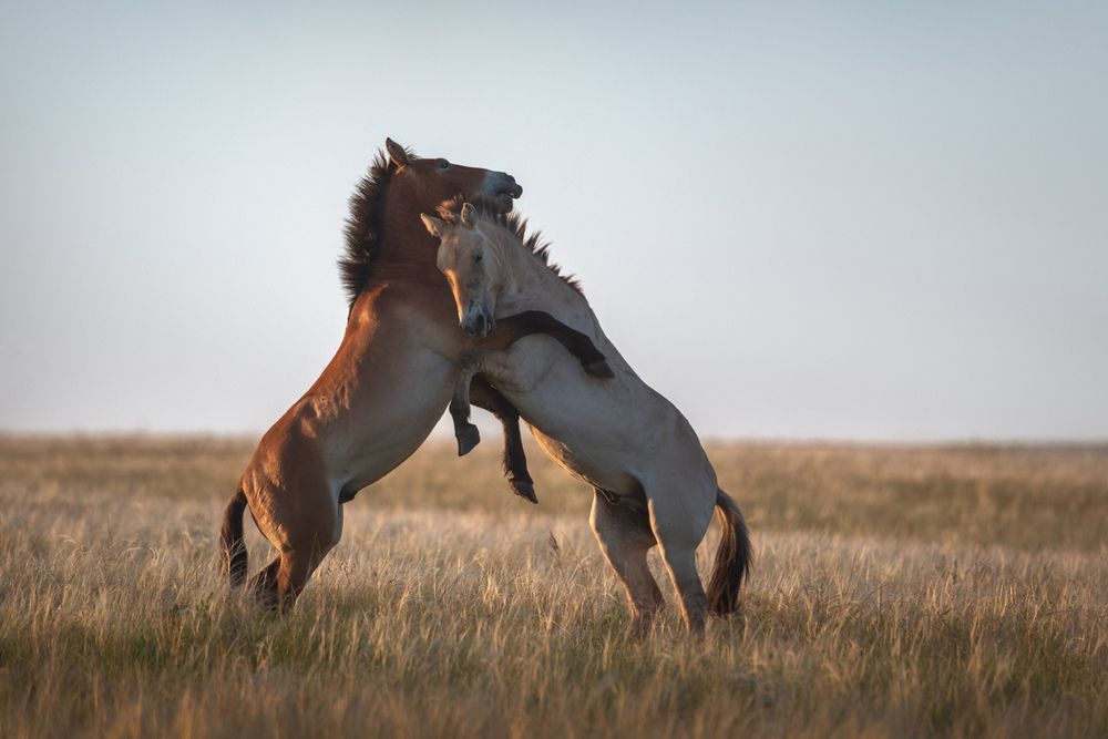 Photograph by Арсений Кашкаров