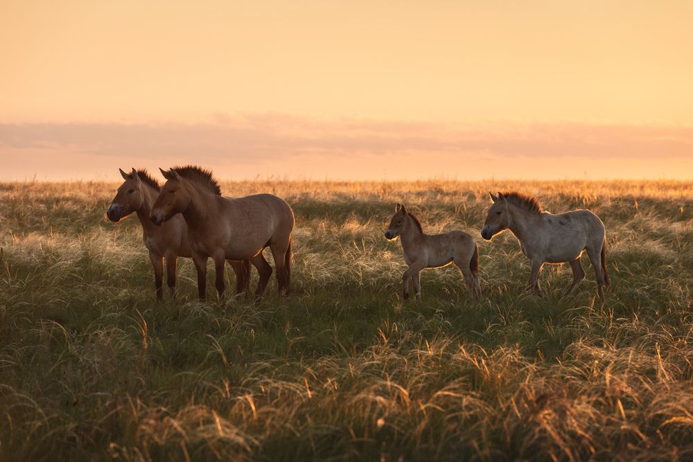 Photograph by Арсений Кашкаров