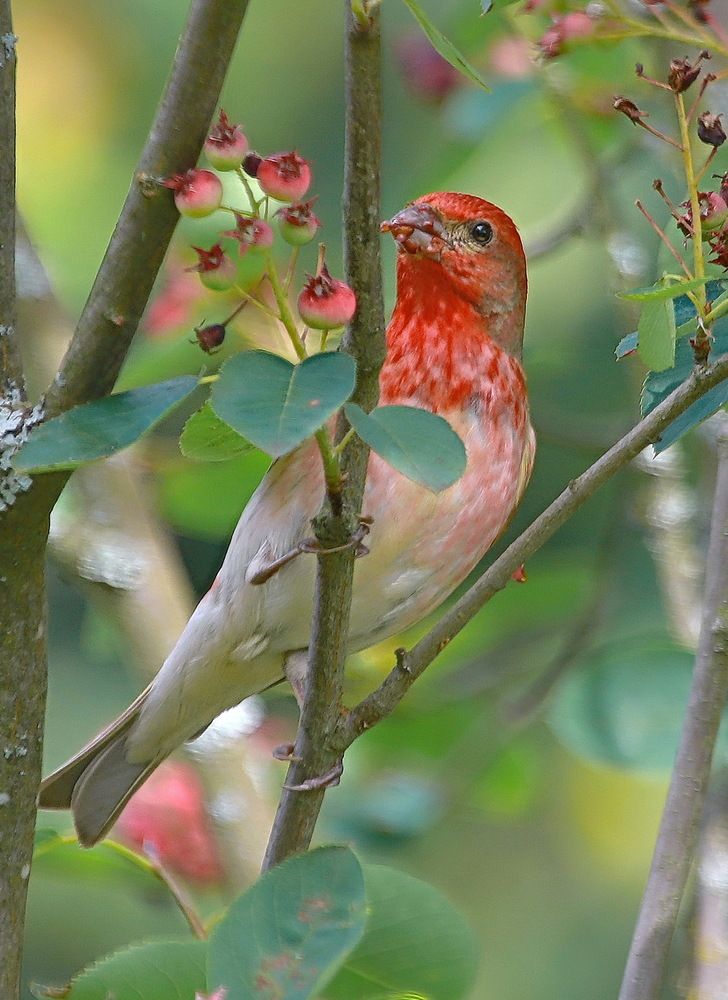 Photograph by Андрей Брагин