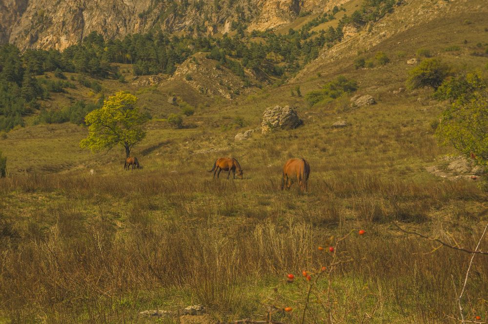 Photograph by Бабанов Сергей