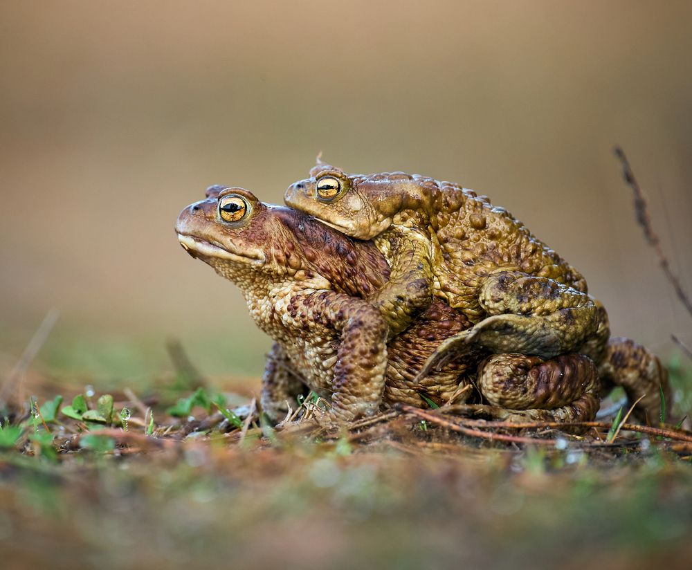 Photograph by Mikhail Khmelevskiy