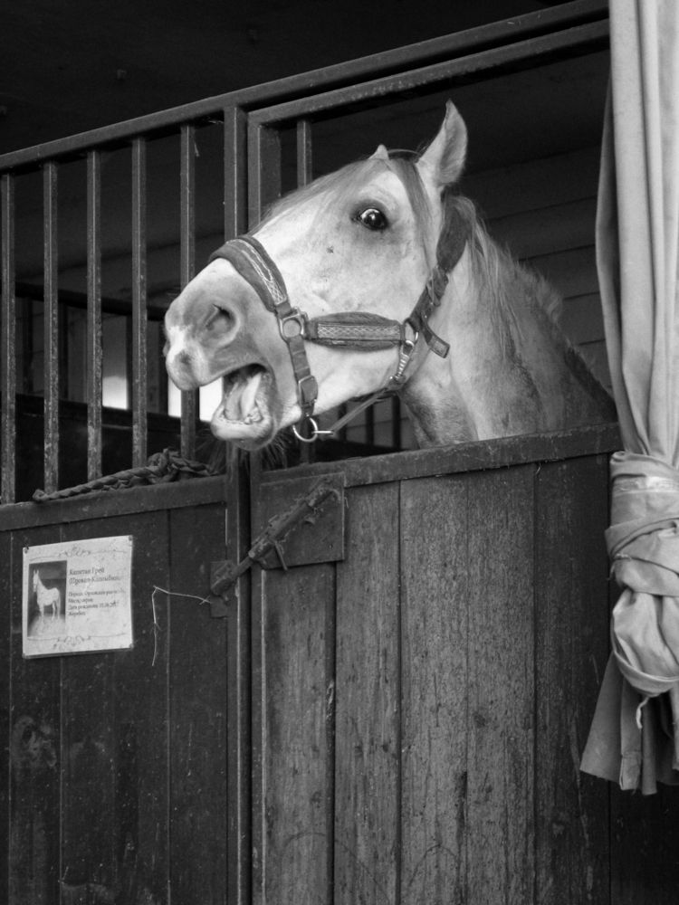 Photograph by Марианна Браун