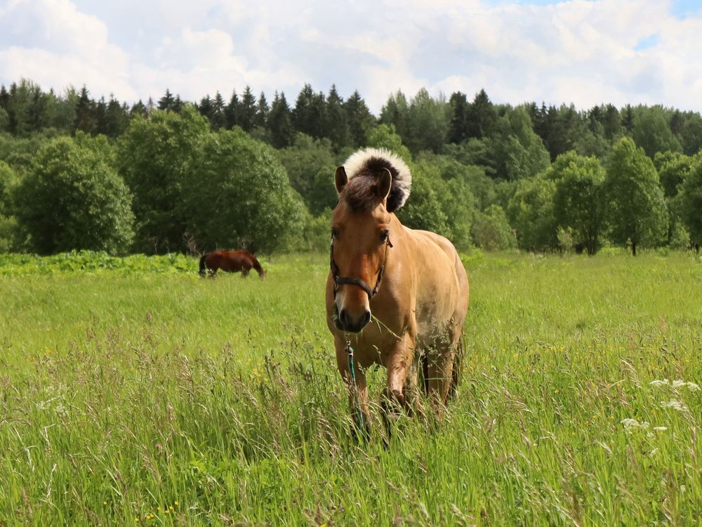 Photograph by Марианна Браун