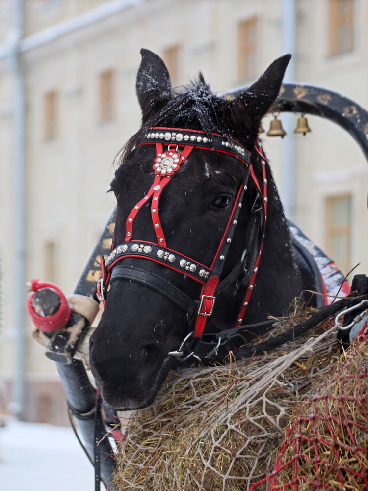 Photograph by Марианна Браун