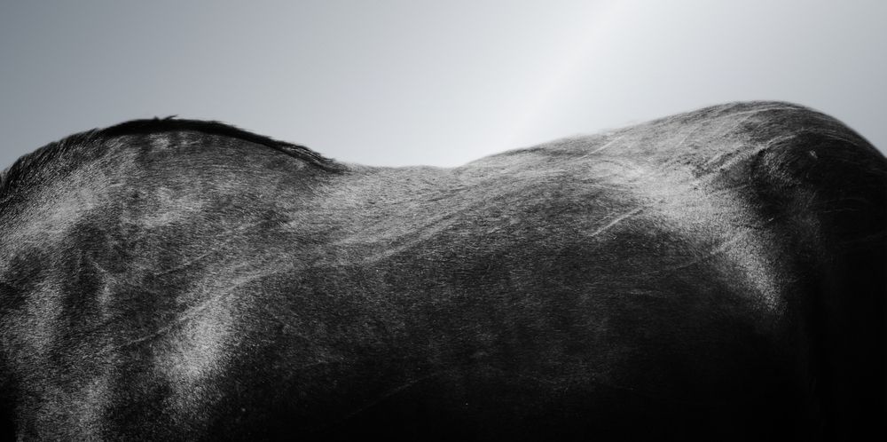 Photograph by Efi Laskari