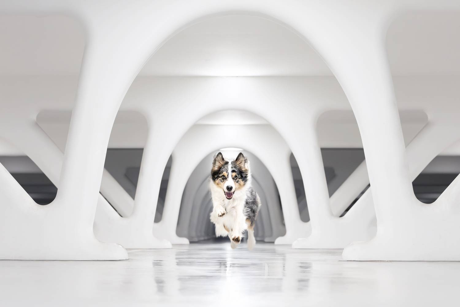 Фотография #13096423