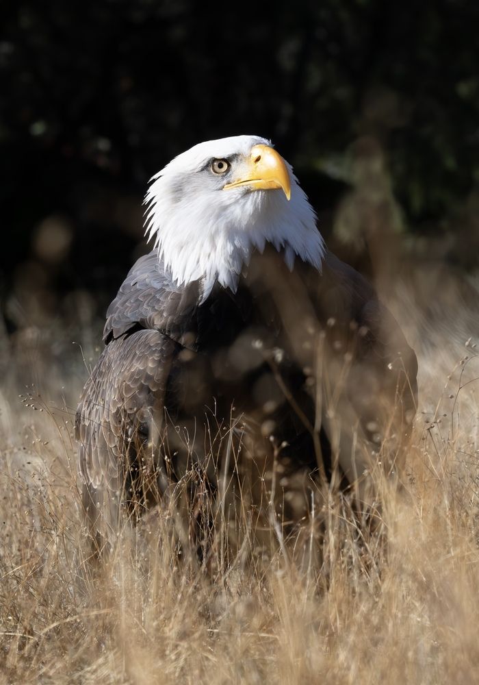 Photograph by Ana Laura Lopez Hassan