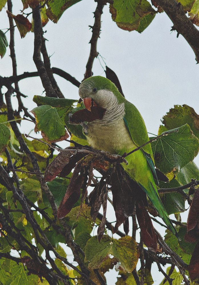 Photograph by Алёна Яцкевич