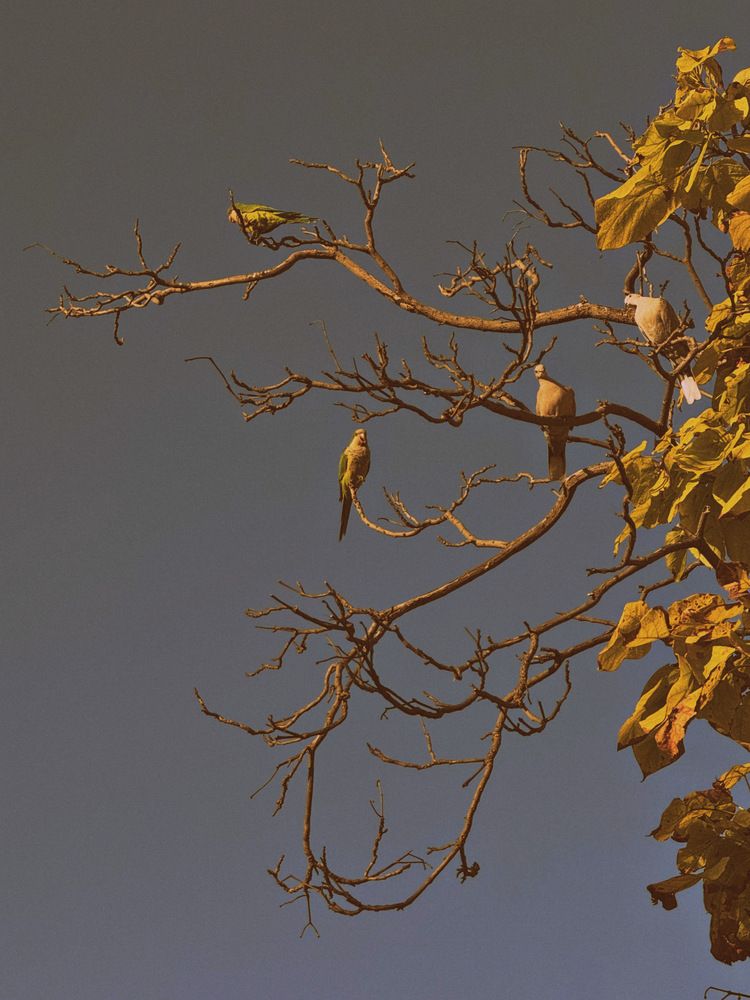 Photograph by Алёна Яцкевич