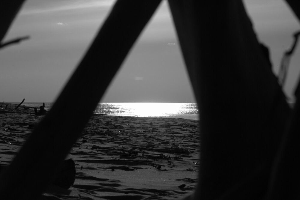 Photograph by Olga Smirnova